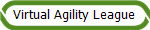 Virtual Agility League